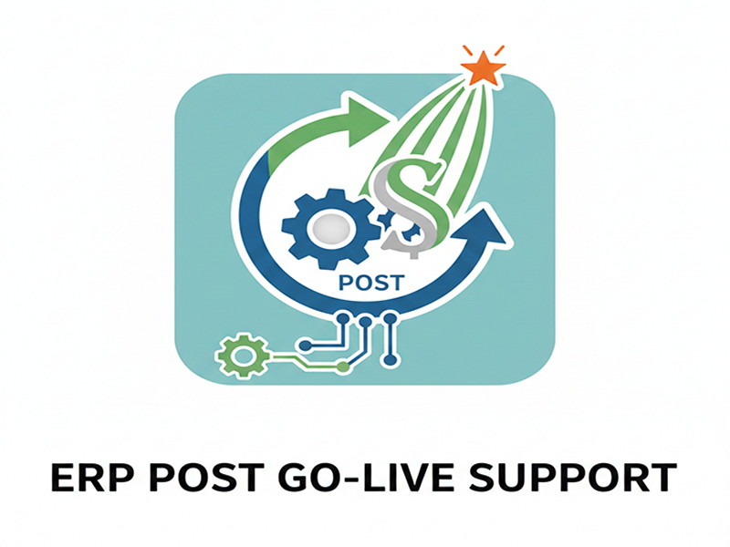 ERP Post Go-Live Support